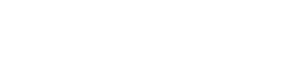 varolex.com logo